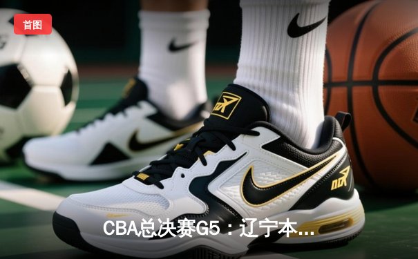 CBA总决赛G5：辽宁本钢加时险胜广东宏远 成功卫冕总冠军