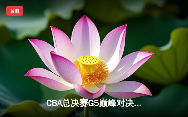 CBA总决赛G5巅峰对决：辽宁本钢加时险胜广东宏远，赵继伟砍30分加冕FMVP
